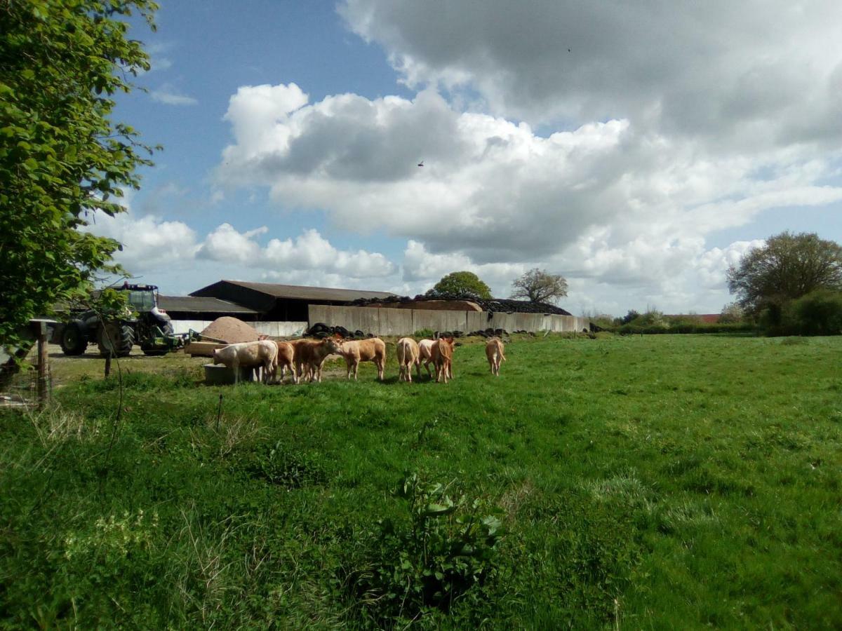 La Ferme De La Baconnerie Villa Sainte-Marguerite-d'Elle Buitenkant foto